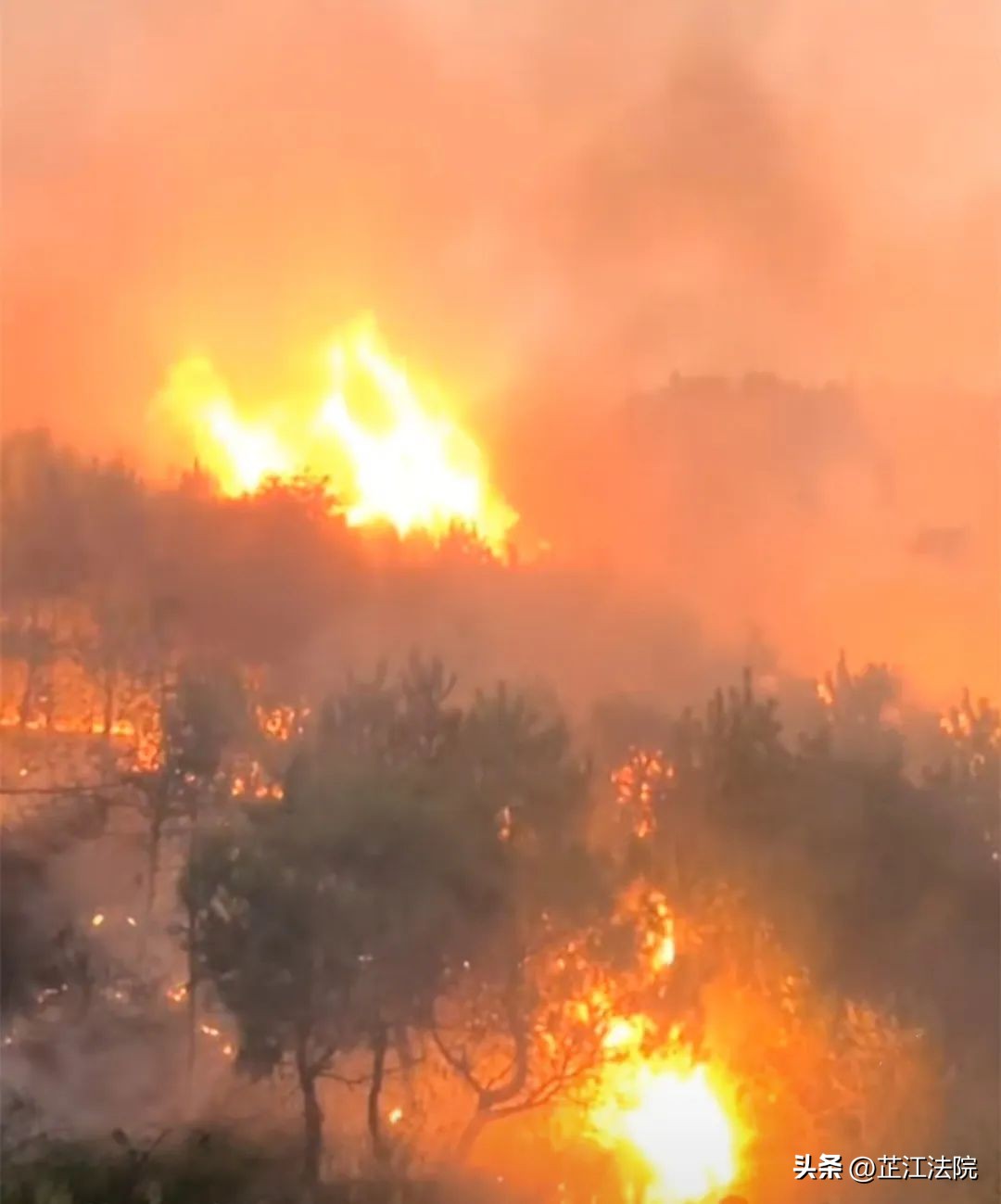 老人引起山火的处罚怎样判定,老人引发山火谁负责