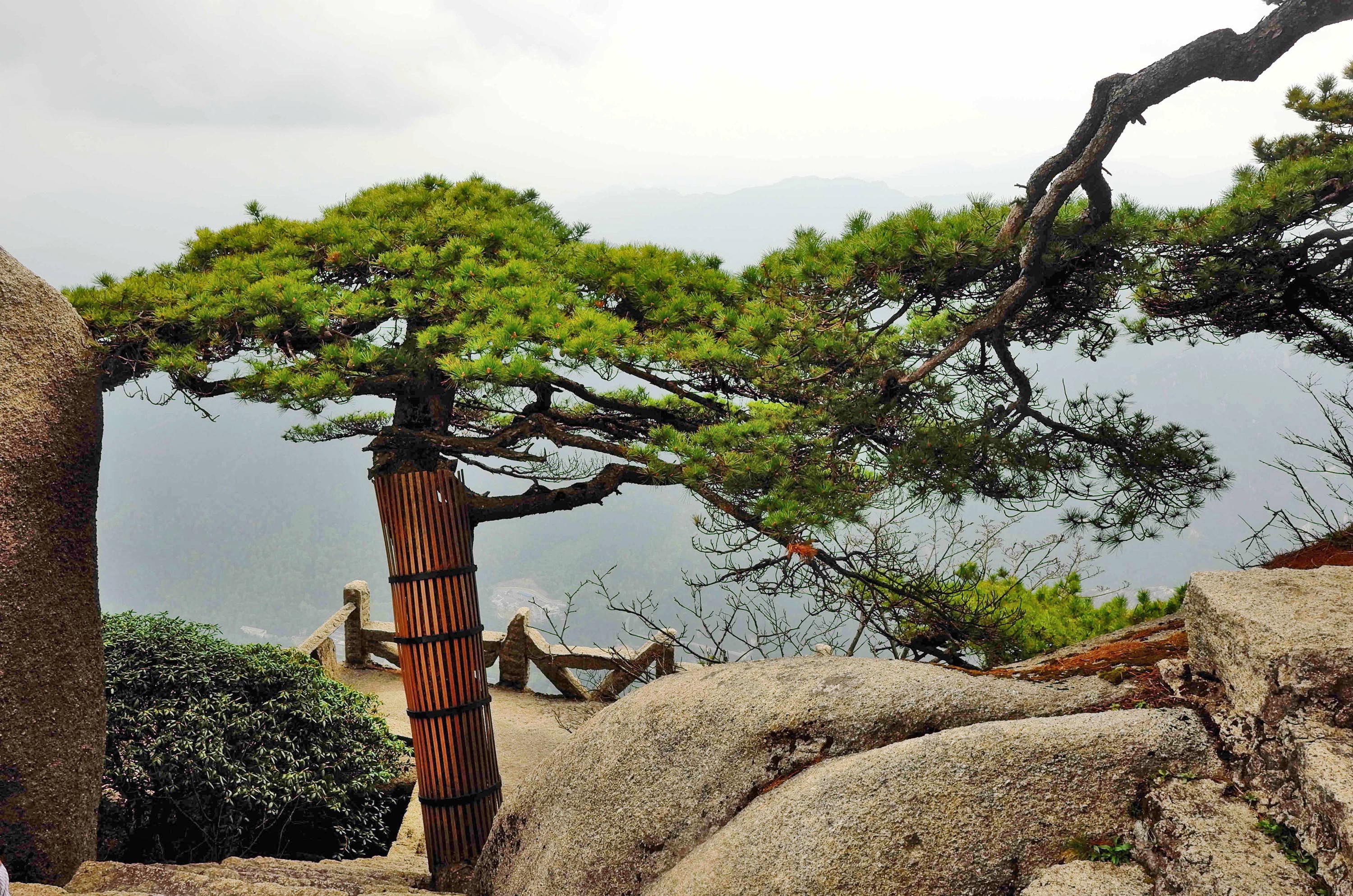 黄山天都峰会走鲫鱼背吗,黄山天都峰鲫鱼背第一视角