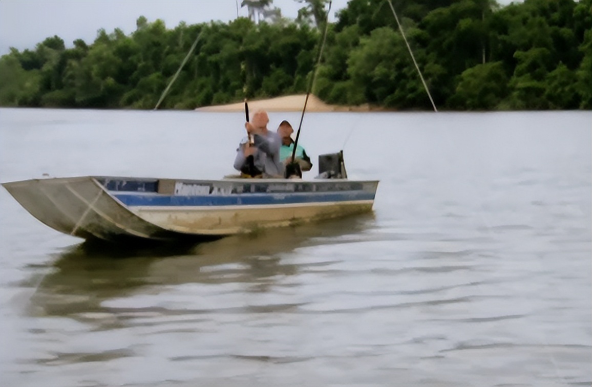 男子钓鱼鱼儿被湖里鲶鱼吃了,男人钓鱼被鲨鱼吃掉