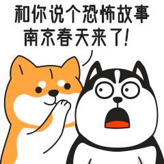 南京皮研所是干嘛的,南京皮研所为什么这么牛