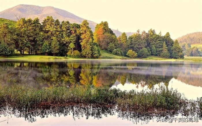 有人评价傅菲的散文语言,散文傅菲成年礼阅读答案