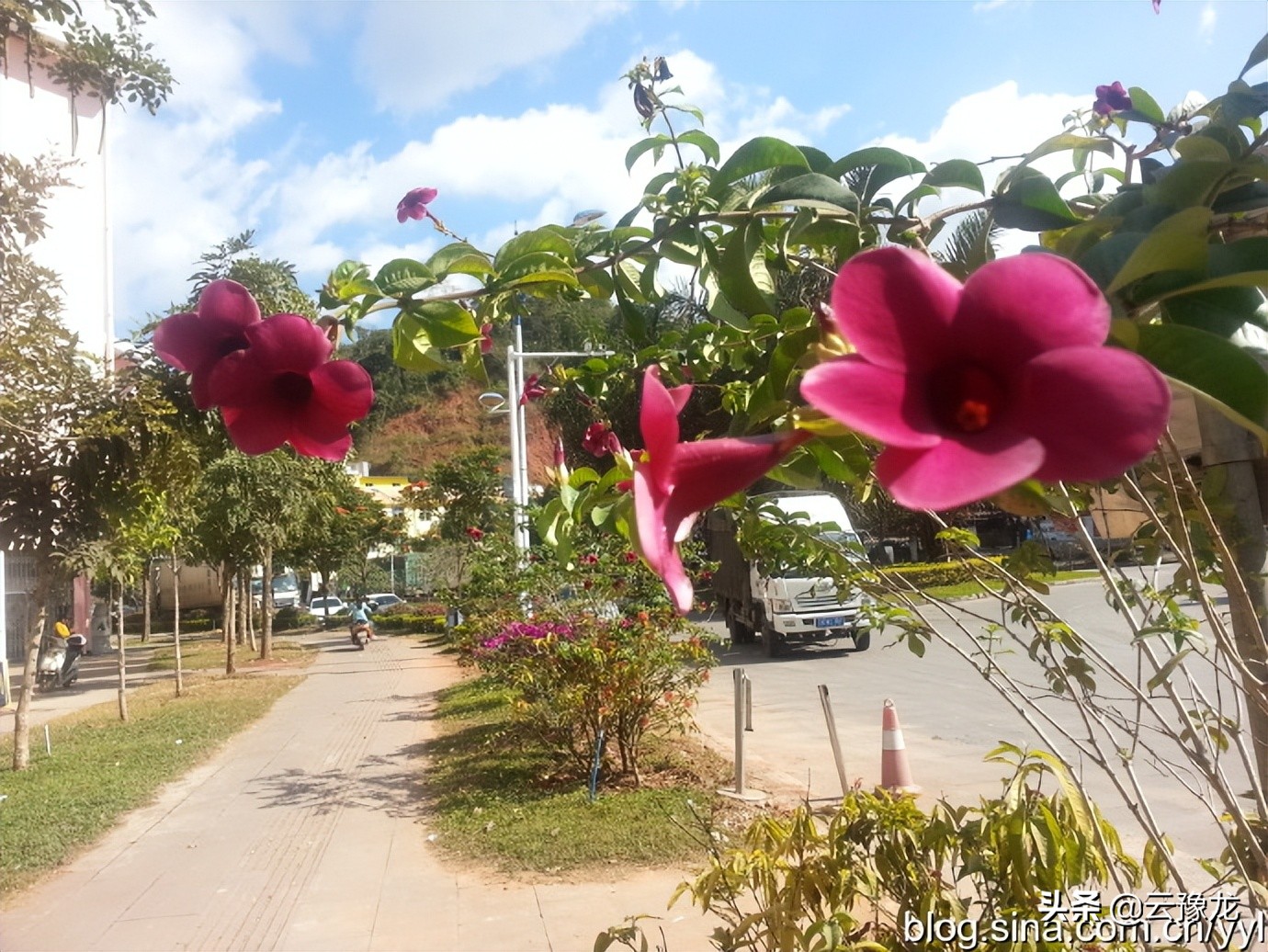 西双版纳磨憨自驾游攻略,自驾游云南版纳旅游攻略