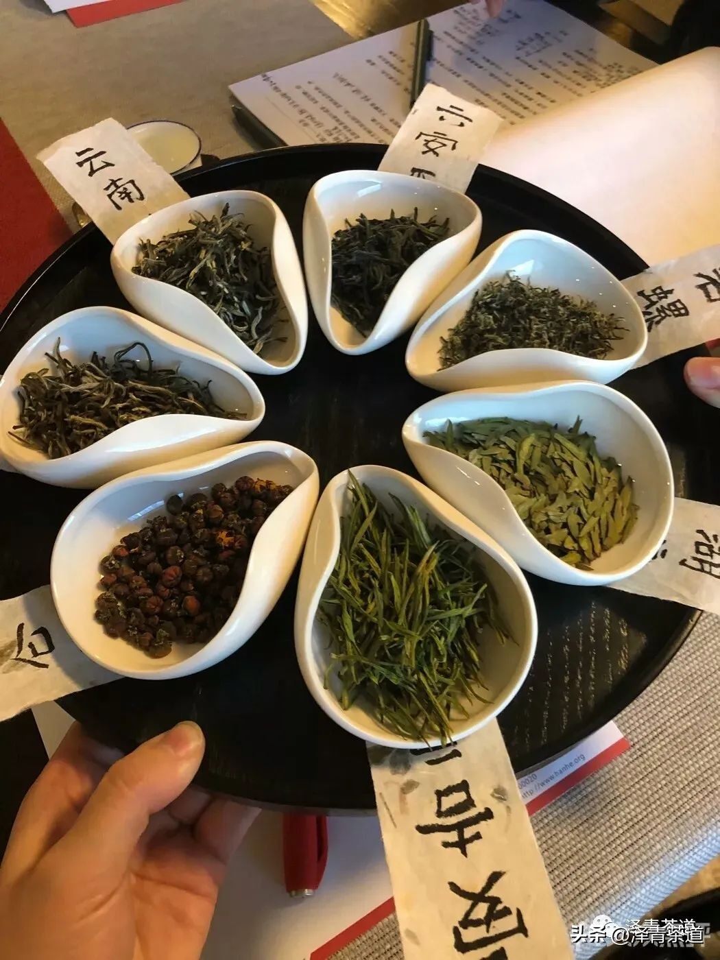 中国十大名茶哪一个茶叶最好,中国十大名茶哪款最特别
