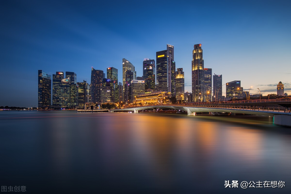 新加坡7个冷知识英文,世界上养猫最多的国家