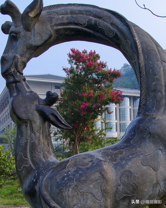 四川乡村行走,白河县绣屏山看日出