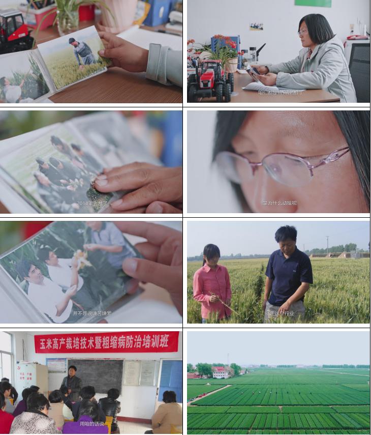 最优质的三农视频文案怎么写,三农视频热门文案素材