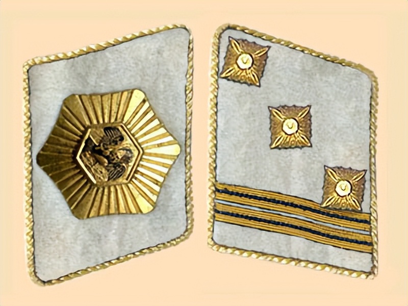 纳粹冲锋队用的什么枪,纳粹德军军衔图解