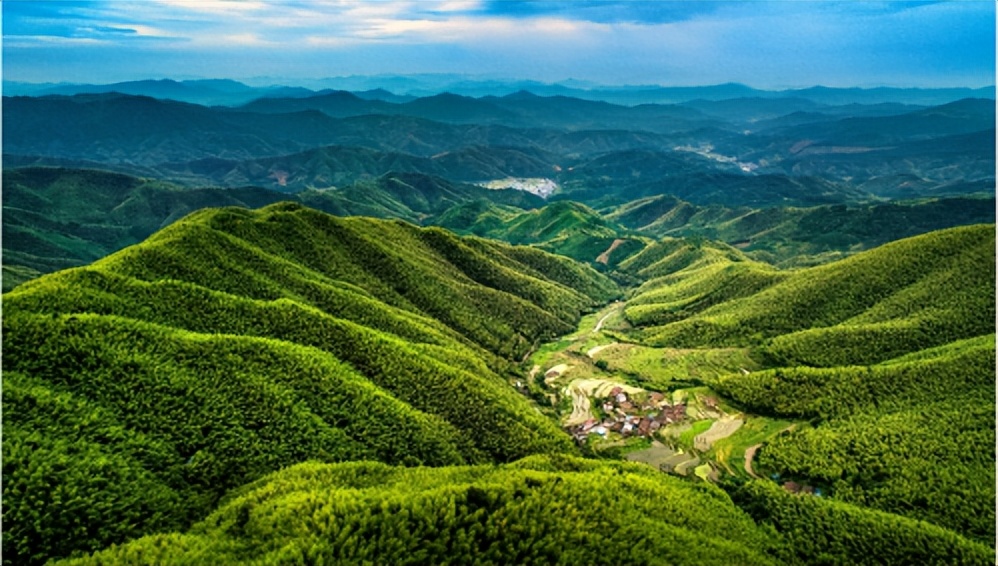 中国竹业｜看一根“小竹子”如何撬动千亿“大产业”