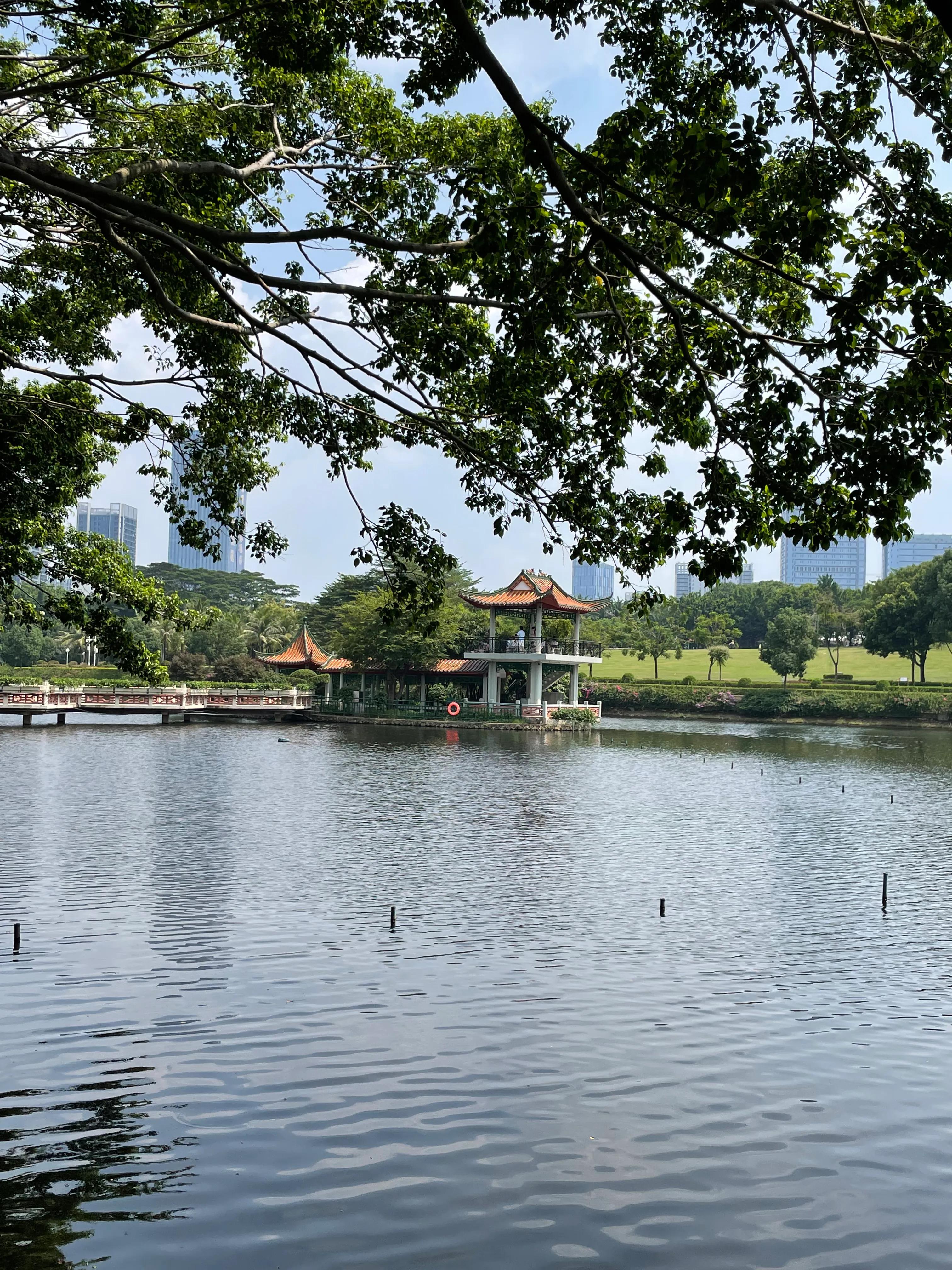 龙岗五联郊野公园,深圳市龙岗区双龙公园