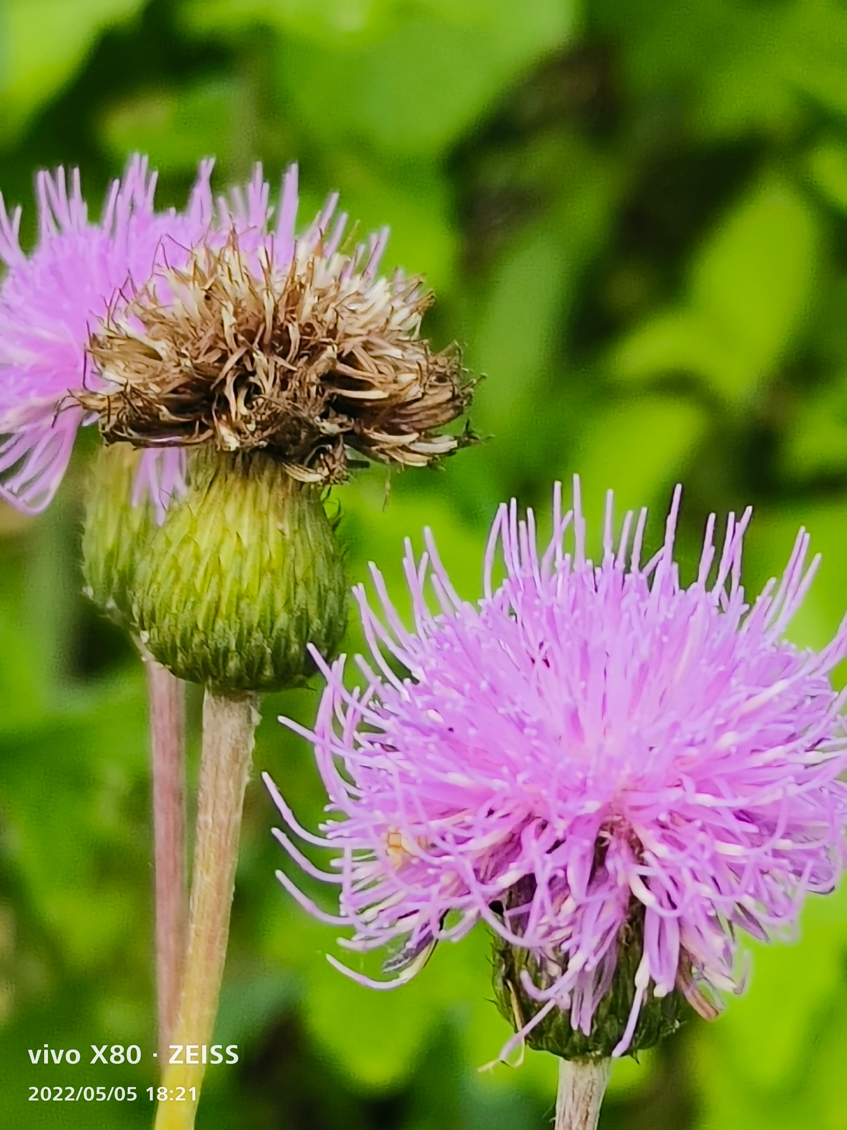 vivox80pro天玑9000吃鸡画质,vivox80pro旅程版抗摔测试