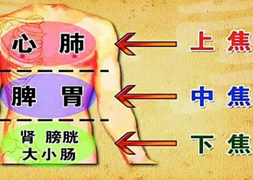 四妙枳实导滞汤倪海厦配方,倪海厦讲枳实导滞丸功效和作用