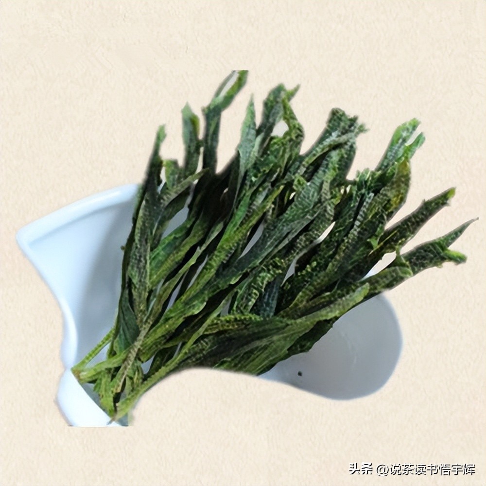 黄山茶叶之乡是哪里的,中国茶叶第一镇是什么地方