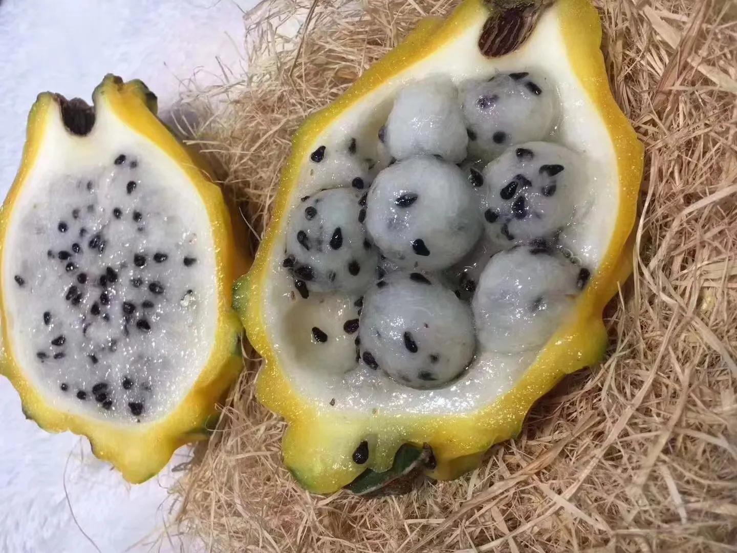 水果中的劳斯莱斯您吃过么