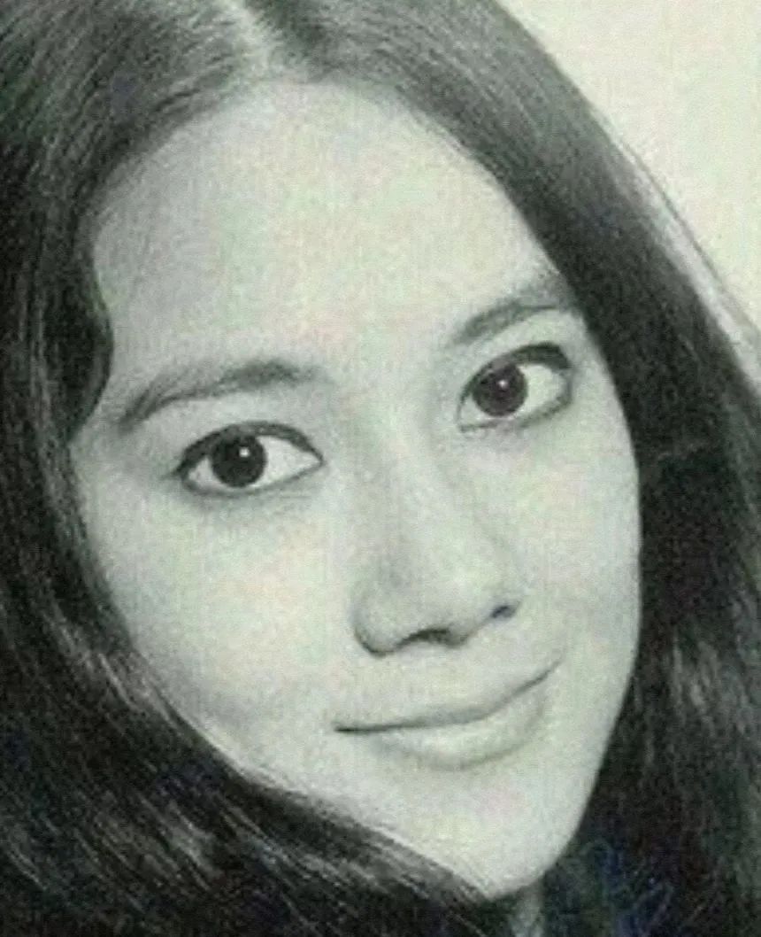 向华强的前任妻子丁佩,向华强老婆丁佩和李小龙