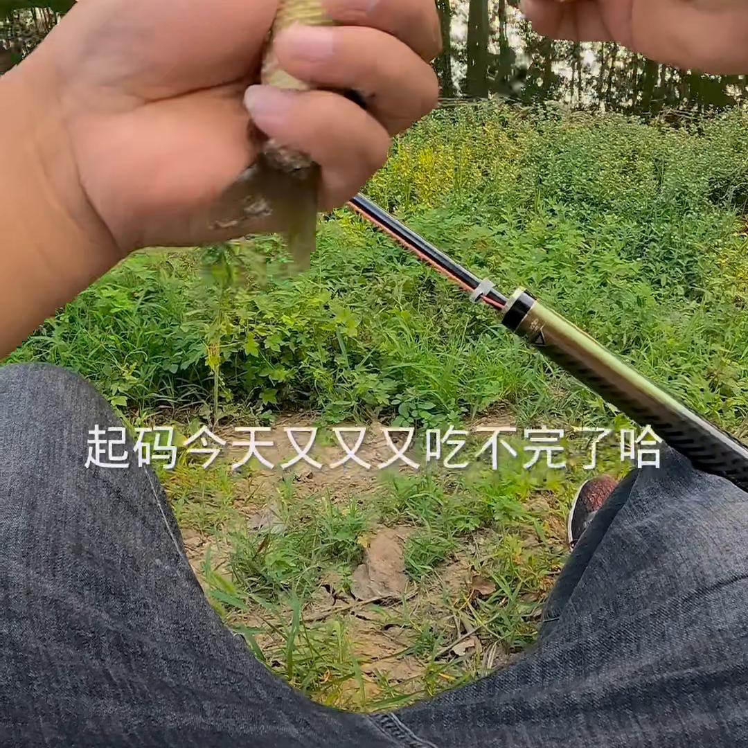 野钓第一次碰到这样的鱼,遇到这种鱼该怎么钓