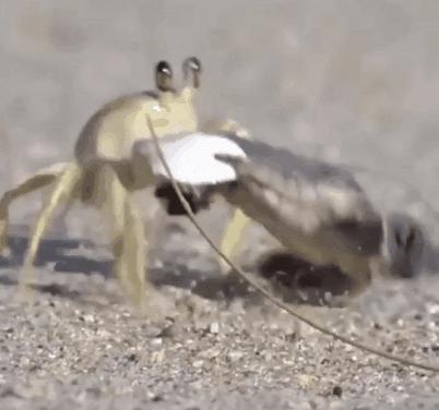 11张照片告诉你大自然的可怕,大自然细思极恐的照片