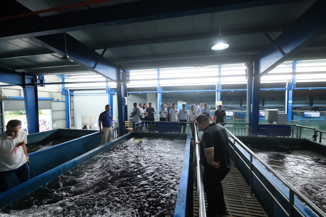 大动作发展活动方案,大动作发展活动的预期目标