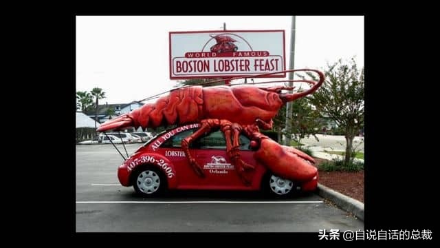 龙虾青龙和花龙区别,龙虾也是生物为什么我们要吃它