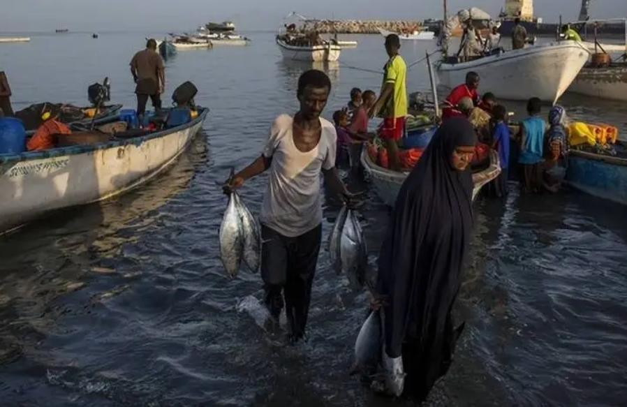 索马里购买战斗机,索马里购买战机不想付尾款