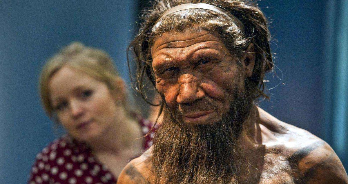 世界上仅存的3只，鲸豚兽是什么？跨越物种的爱情，打破生殖隔离