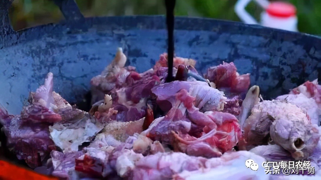 人间美味的动物有哪些,大雁做法和营养价值