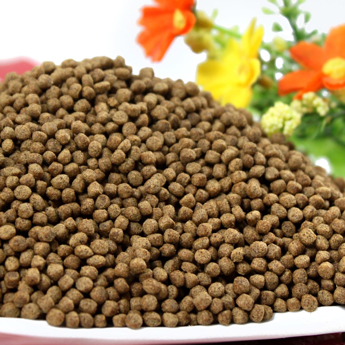 龟长期食龟粮好吗,龟吃龟粮好还是活的好