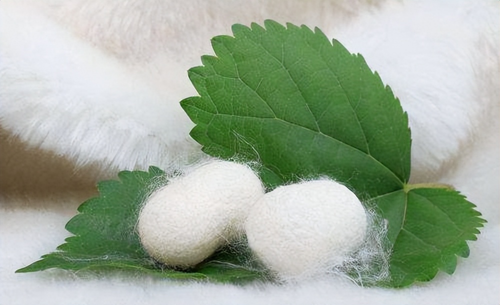 蚕丝被200和1000的区别,200多的蚕丝被怎么样