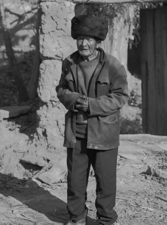 长篇小说《红杉树》连载八