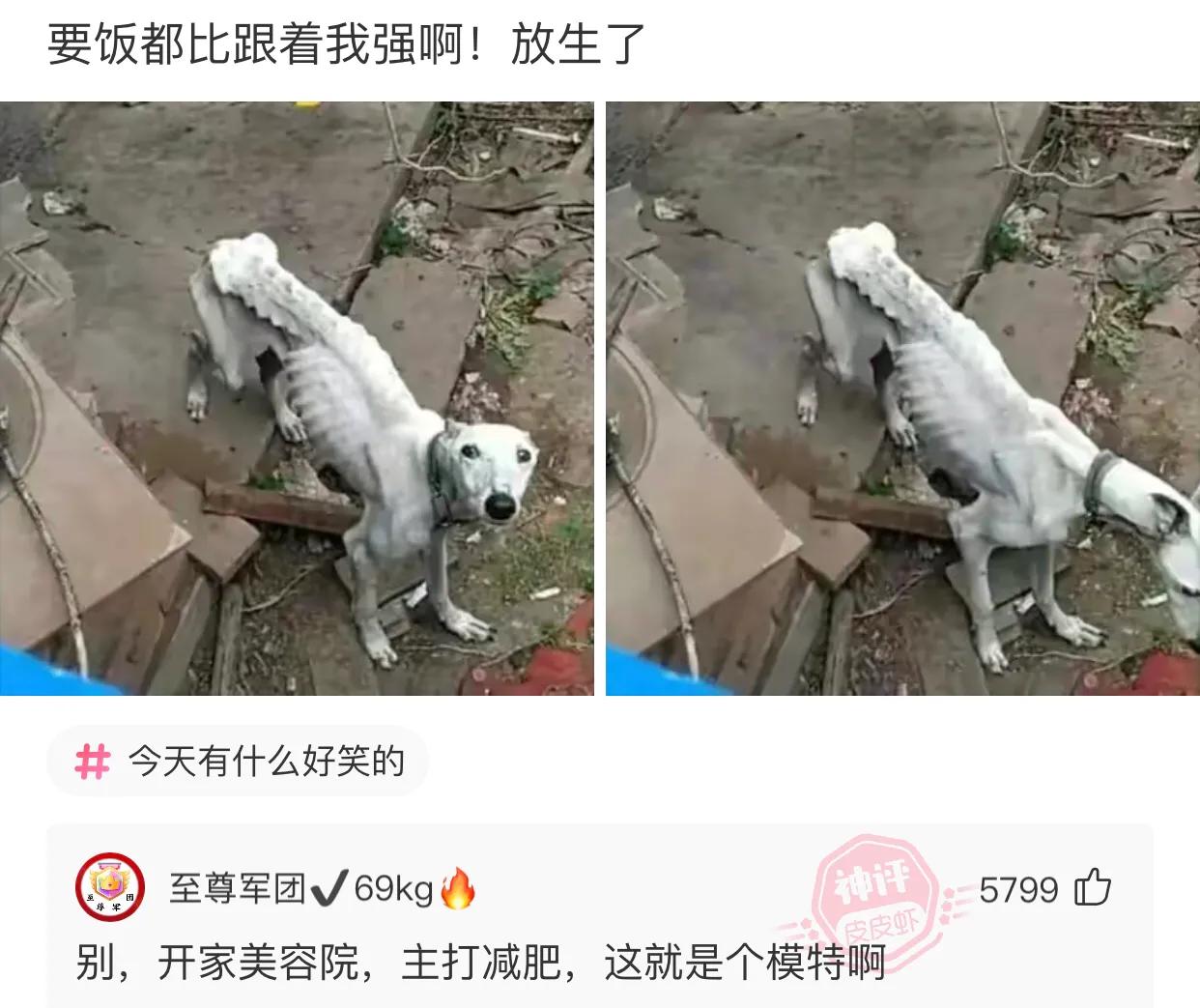 误发给女房东的微信,给老婆发短信误发给了女房东