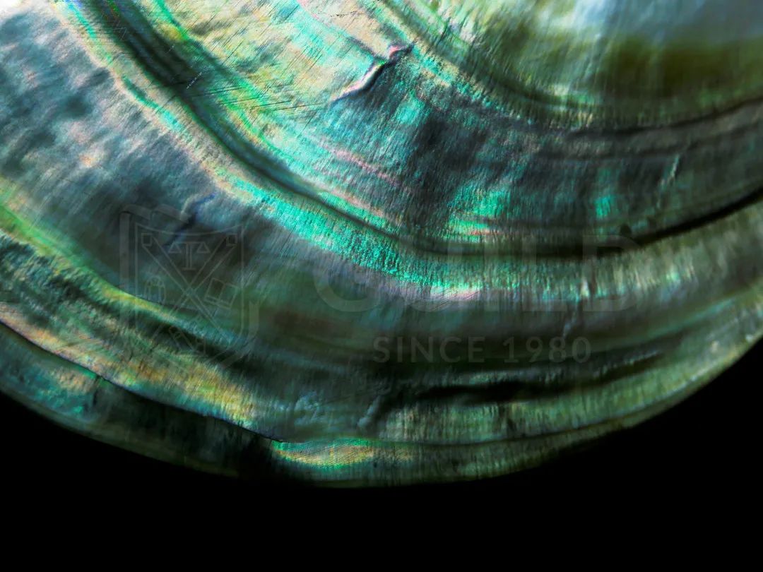 世界杯历史上最昂贵的比赛,最贫穷的世界杯