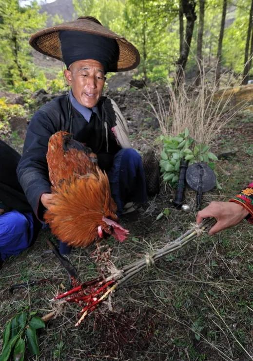 华夏上古文明文化,东夷史前文明是中华文明的摇篮