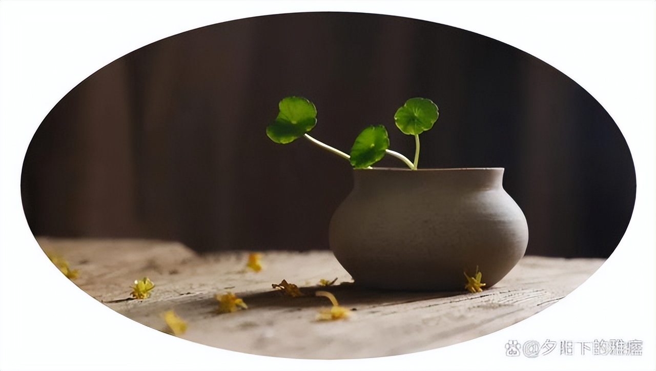 20句名人名言中英文,20句名人名言