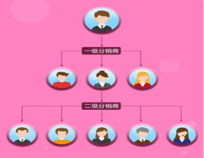 化妆品电商分销模式,电商分销方案和布局