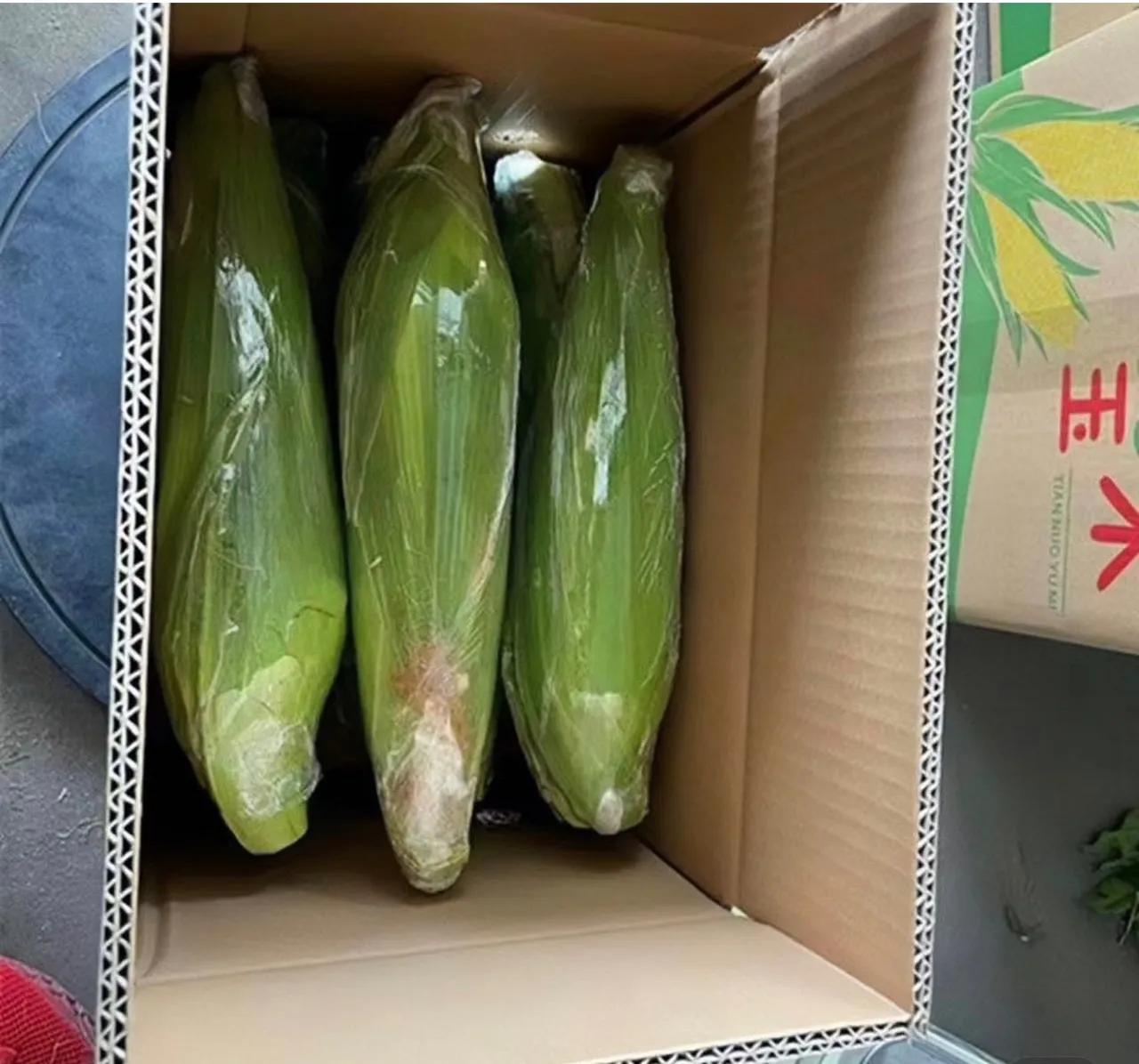 承包二百亩地，只种一茬小麦，亩效益一千多元