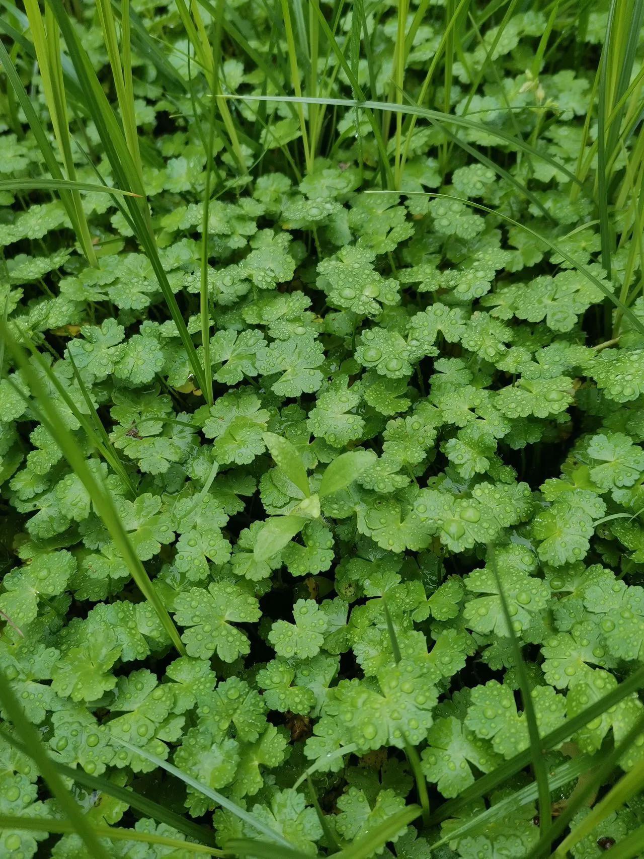 工业互联网大赛,工业互联网平台