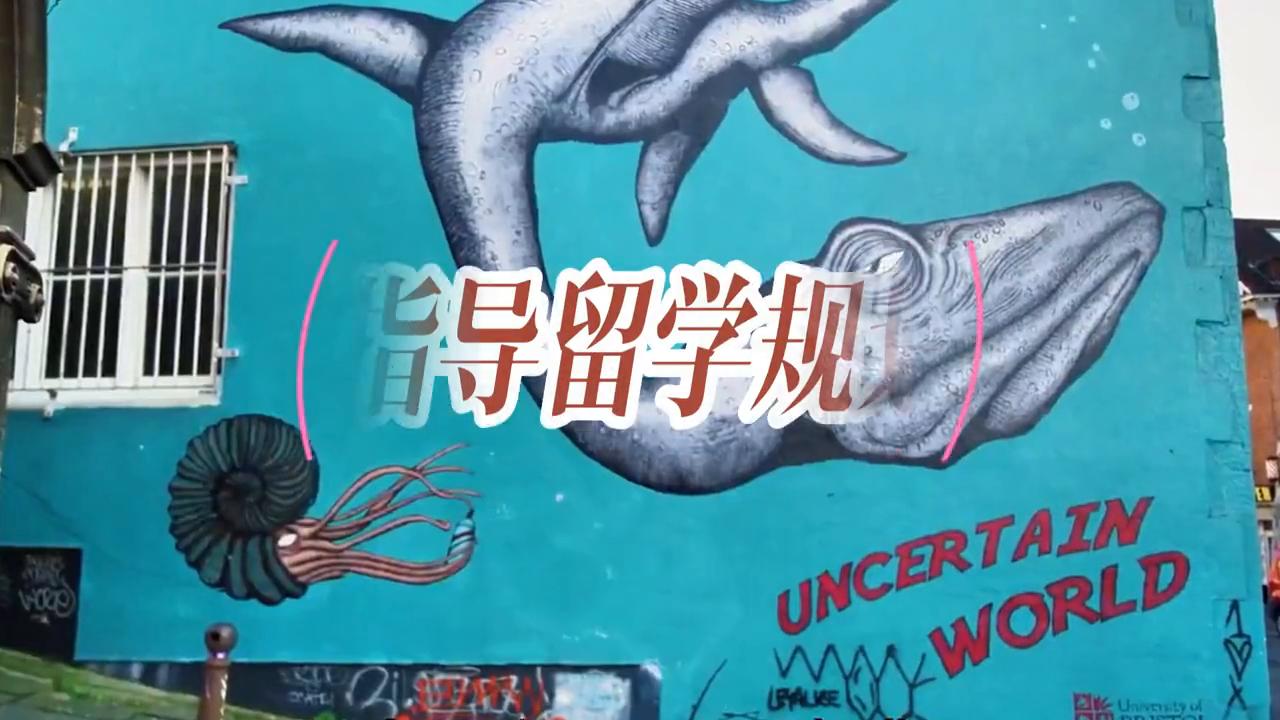 正规韩国出国留学中介机构,南宁韩国留学中介