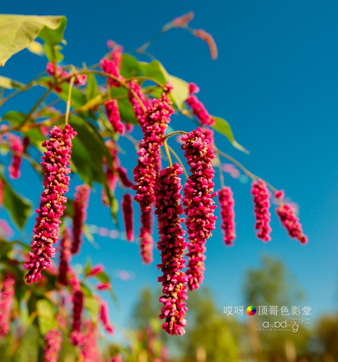女司机带娃去新疆自驾游,带着女司机自驾游兰州