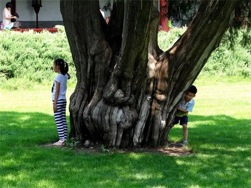 西安小伙发明隐身衣是真是假,西安小伙研制隐身衣是真的吗