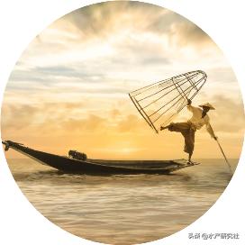 水产小球藻种和小球藻粉区别,水产养殖肥水用小球藻粉剂