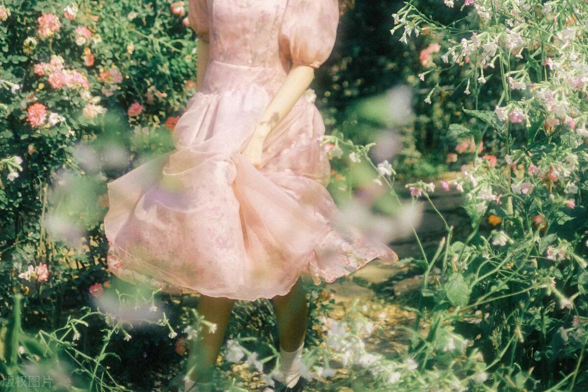 最贵的10本书 (最值钱的九本书)