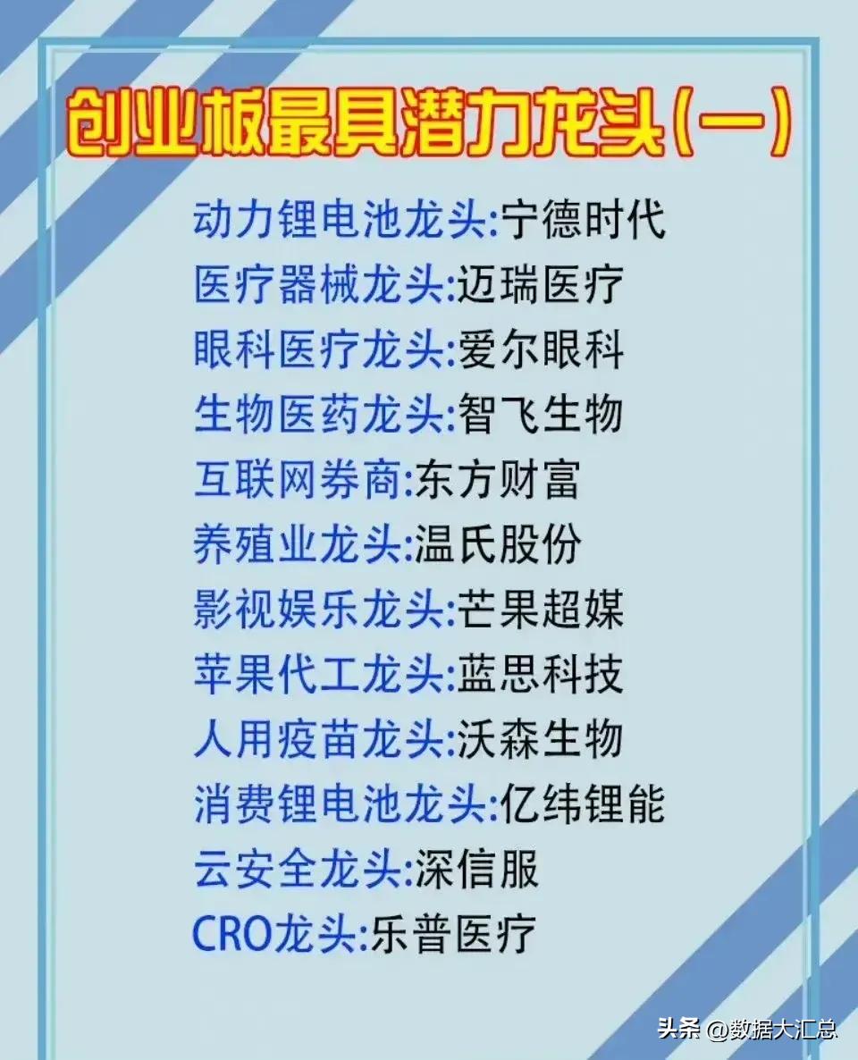 中成药股细分龙头,行业龙头板块有哪些股票