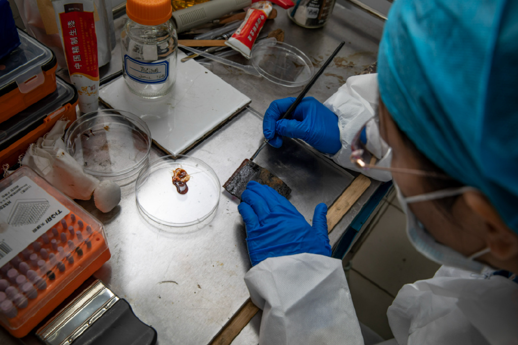 【北京文化守护人】何秋菊：给漆棺“看病”