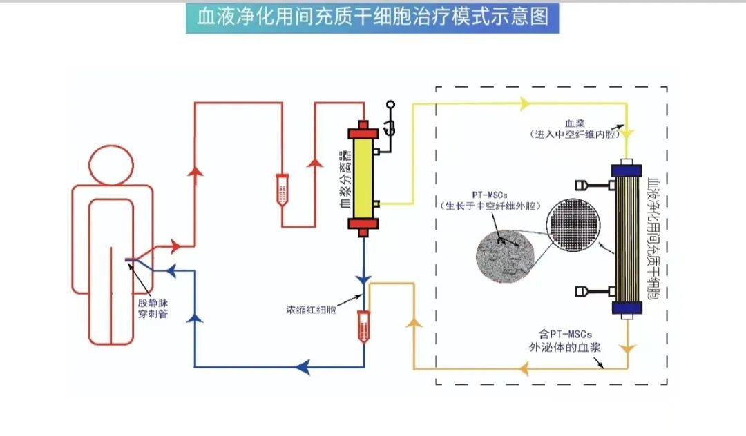 肝再生技术突破,新型干细胞人工肝