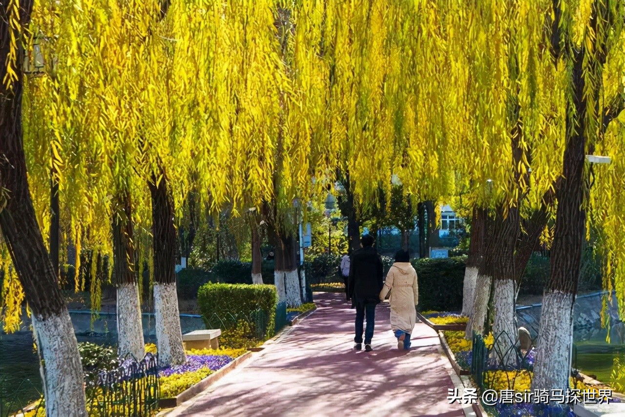 南昌8个公园相亲角,南昌八个公园相亲角