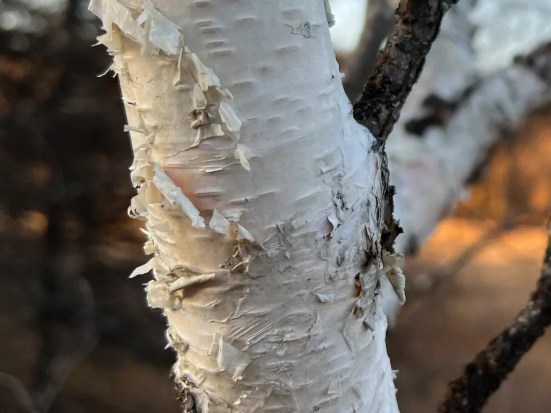 没有缺点的iphone13promax,iphone13promax与iphone13pro