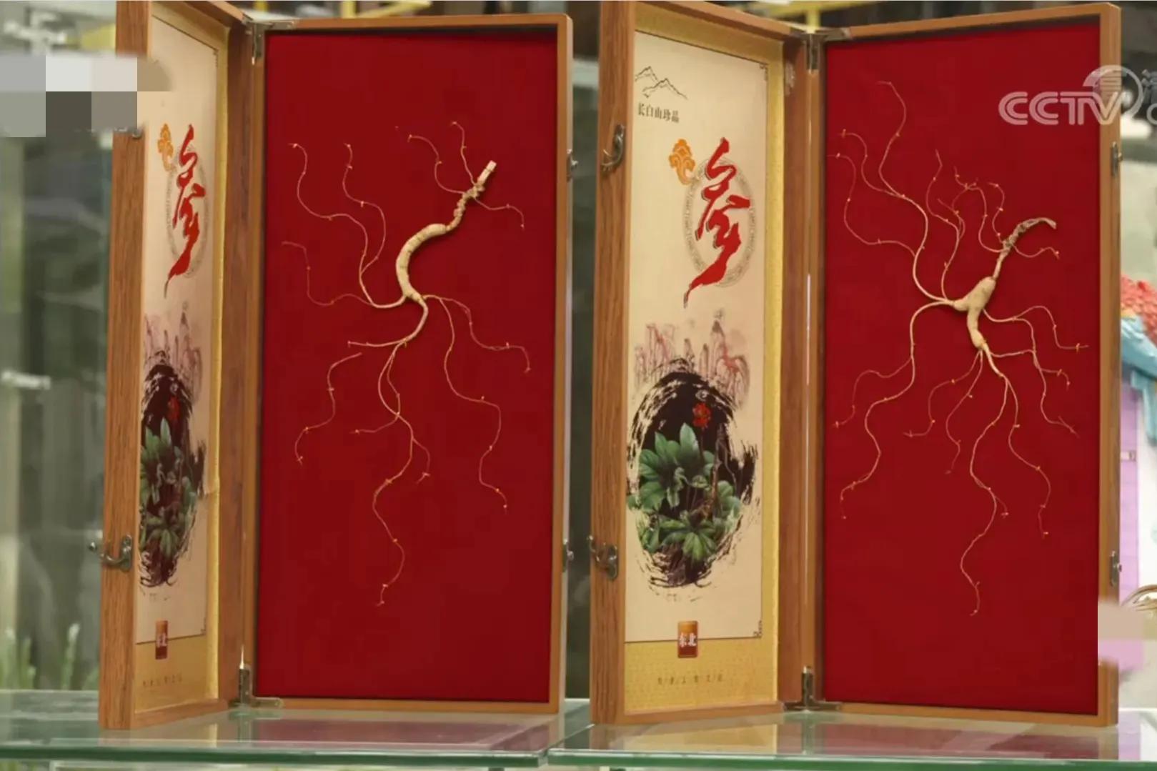 辽宁男子承包5800亩山林,靠种植林下参,如今一年收入上千万