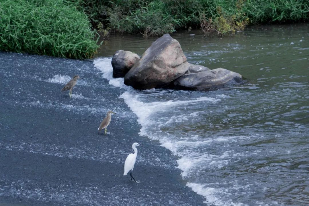 十大风景最美的湖泊排行榜,深圳风景美丽的湖泊