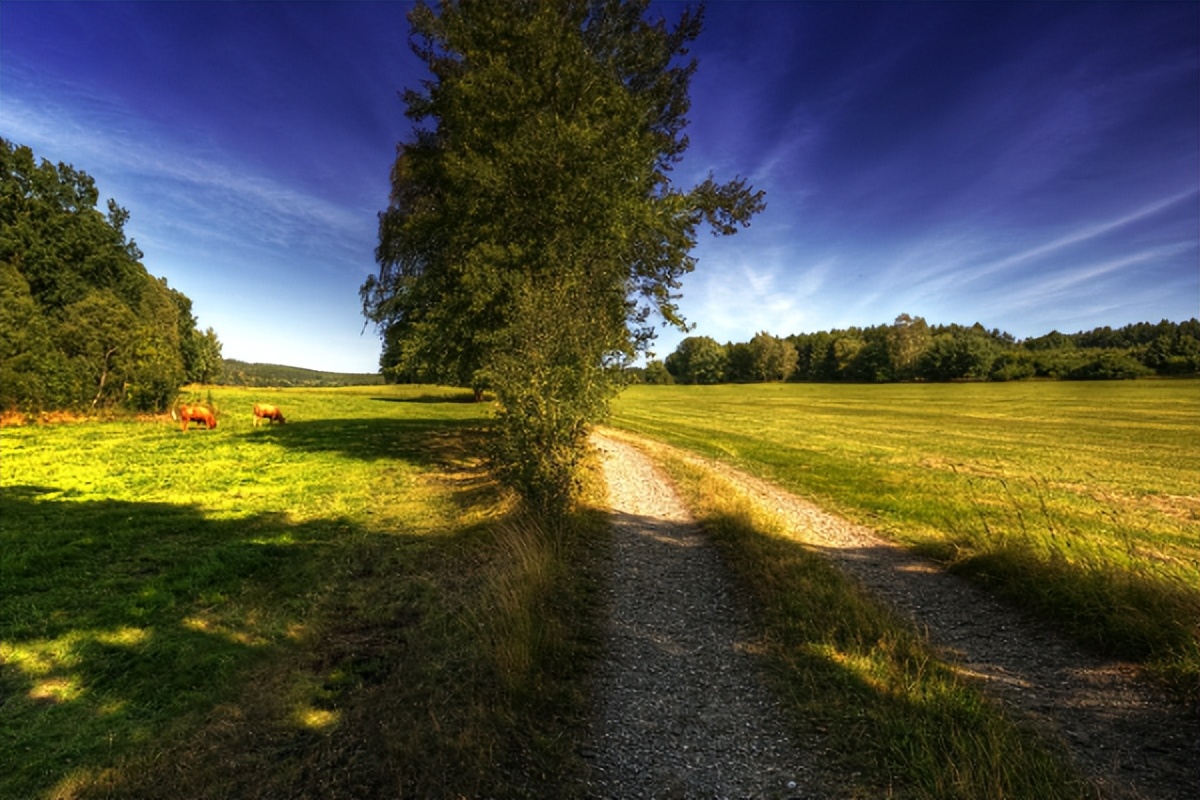 女人对男人过度精神依赖什么表现,当女人对你精神依赖是什么表现