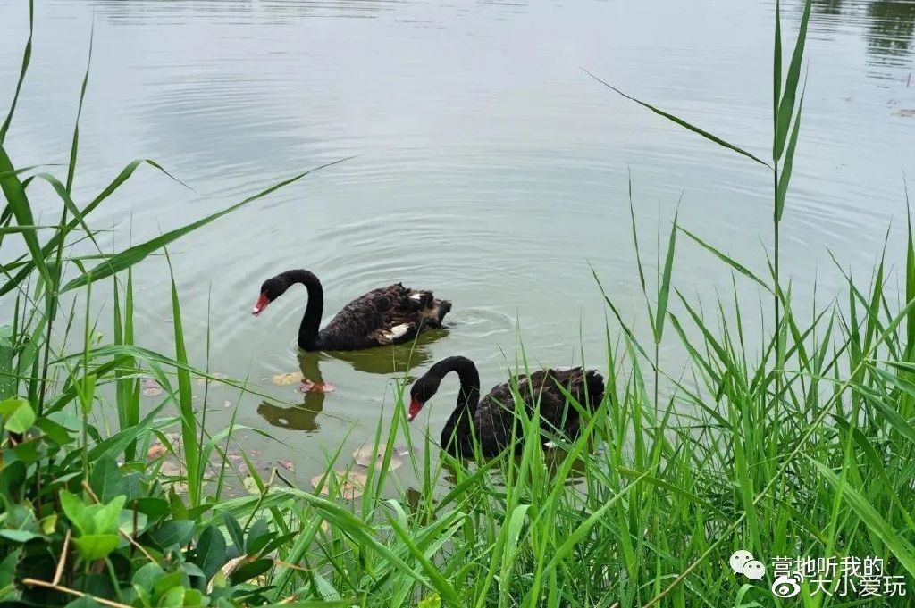 北京适合孩子玩的农场,一年四季都可以去的亲子农场