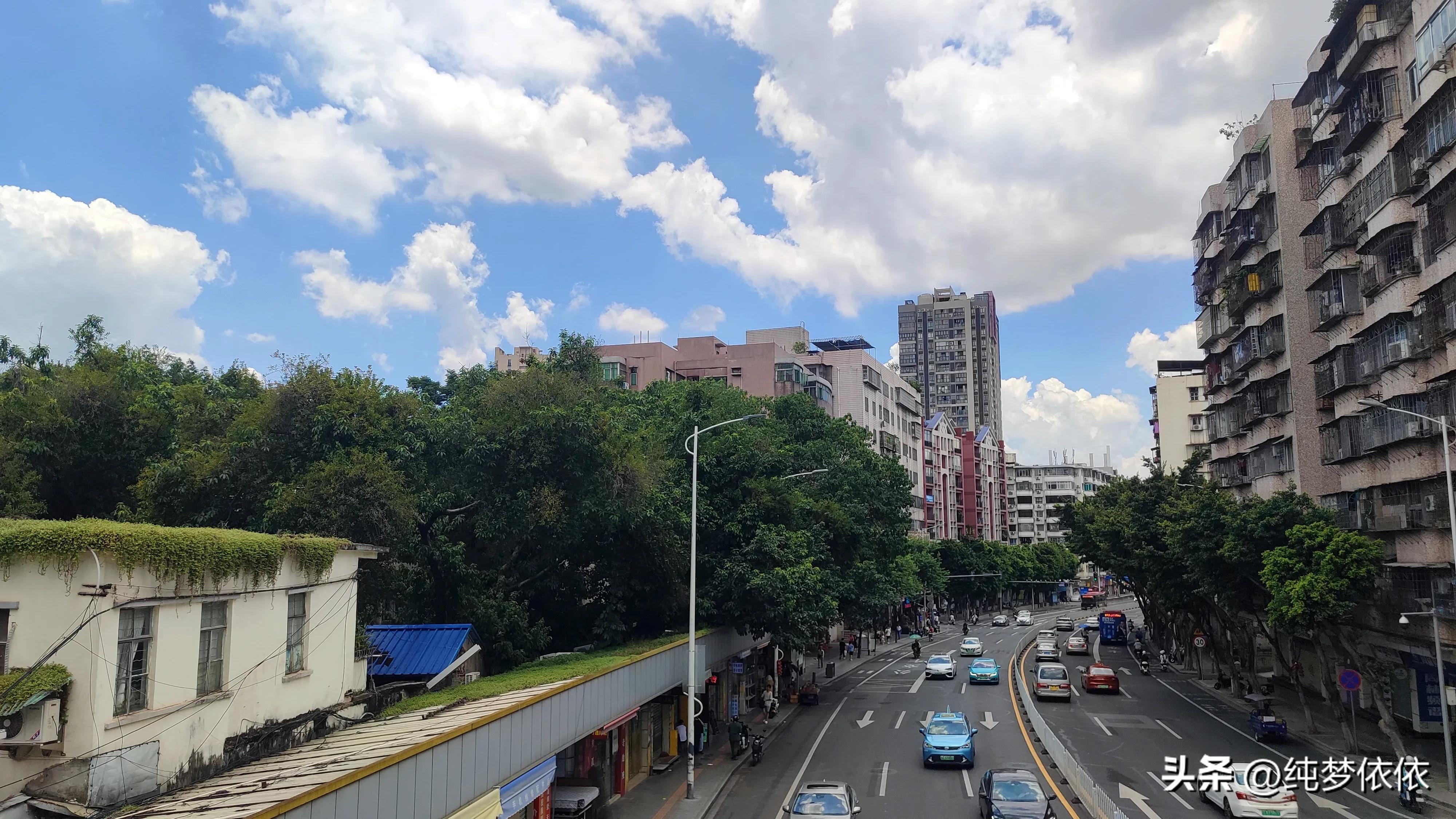 夏天随手一拍就是最好的画面,这张照片勾起了夏天的美好时光